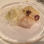 サーラ アマービレ - 焼蛸のレア仕立て ういきょうとじゃが芋とアンチョビのアクセント