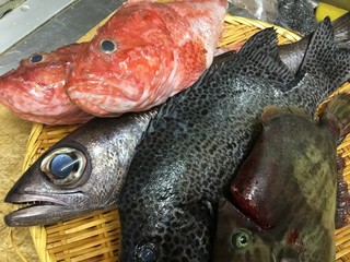 旬菜ダイニング 新 - 