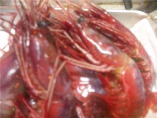 旬菜ダイニング 新 - 幻の葡萄海老！　滅多に見れないブランド品です！