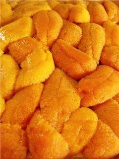 旬菜ダイニング 新 - 北海道【根室】より　甘みが最高の絶品赤ウニ