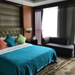 成都明宇丽雅饭店 - 