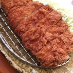 Tonkatsu Tamafuji - 