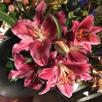 京やきにく 弘 祗園山名庵 - 