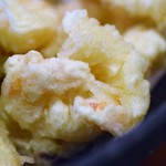 手挽きそば 一心 - 小えびと野菜天ぷら（小えび天ざる）