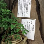 手挽きそば 一心 - 