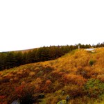 くらすわ レストラン - 20171015ビーナスライン　紅葉どんぴしゃり