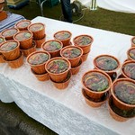 王様のフレンチ - 