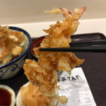 Tendon Tenya - 