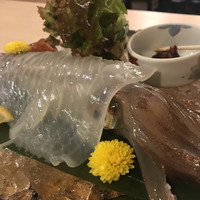 いけす鶴八 新栄店 - 