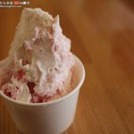 道の駅もてぎ もてぎプラザ - 料理写真: