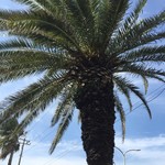 リバーストーン - 