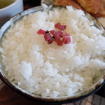 仁亭 - 硬めに炊かれたご飯