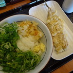 Seimen Daigaku - おろし醤油うどん･並(350円)と秋刀魚天(150円)