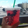 Starbucks Coffee - ドリンク写真: