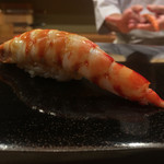 日本橋蛎殻町 すぎた - 車海老。7mm程の厚みで8割5分火入れのイメージ。ブリブリとした食感で上品かつ甘やかな風味。一度茹で上げた後に殻をむき、その後に軽く温めると。