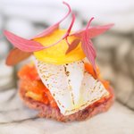 L'Octave Hayato KOBAYASHI - ランチコース 5598円 の長崎対馬 白イカ、木苺、野菜のトマト煮込み、ホオヅキ、アマランサス