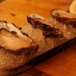 75004345 - Oysters