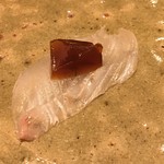 鮓 きずな - 明石のひらめ