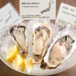 Oysterbar&Wine BELON - 