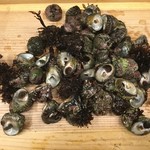 貝料理　吟 - ”シタダミ”　サザエのような食感と甘みが特徴です。