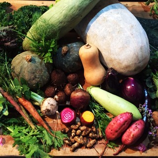 東銀座エリアでバル、カフェ利用に♪野菜がおいしいお店です！