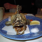 菜々海 - ガシラの唐揚げ