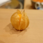 尽誠 - ほうずき