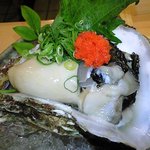 うを政 - 強烈～な牡蠣！ホントおいしい