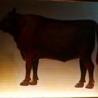 YAKINIKU 37west NY - 
