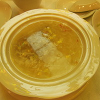 雅苑酒家 本店 - 