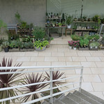 ル・ミリュウ - 階段を下りると・・