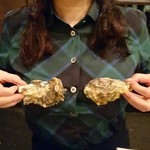h Gyokai Bisutoro Sasaya - 牡蠣の殻～