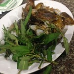 Quan An 46 - 名前不明の貝