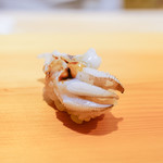 鮨 あらい - げそ