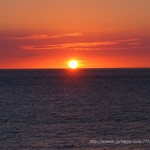 Kamuela Provision Company - 