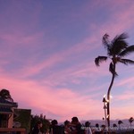 Kamuela Provision Company - 