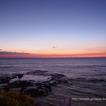 Kamuela Provision Company - 