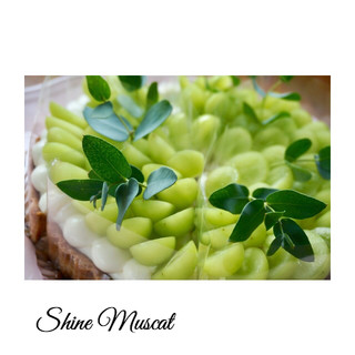 Bliss café et vin_1