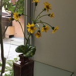 ゼンカフェ - 店内