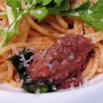 レッジョ・ネレミリア - 「じっくり煮込んだ蝦夷鹿のスパゲッティ」のアップ