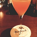Bar finch - 