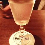 Bar finch - 