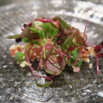 スゥリル - 29年10月　淡路炙り鯖