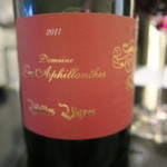 スゥリル - 29年10月　LES APHILLANTHES, VIEILLES VIGNES, CÔTES-DU-RHÔNE VILLAGE