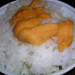 ペンション群林風 - ガンゼ　on the rice