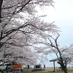 Kogashima Sou - 海津大崎