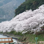 Kogashima Sou - 海津大崎