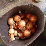 クッチーナ キムラ - 