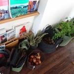 クッチーナ キムラ - 