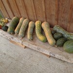 クッチーナ キムラ - 